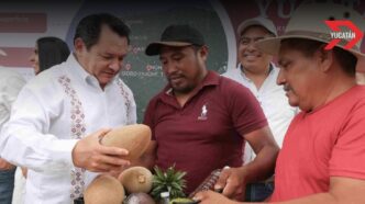 Yucatán impulsa desarrollo rural con inversión de 40 millones en caminos sacacosechas