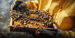 Valladolid, Yucatán, la ciudad líder en producción de miel y conservación de la cultura maya