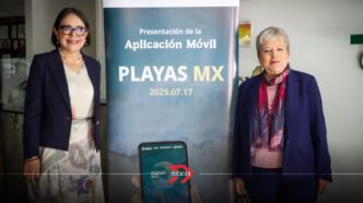 Playas MX: Semarnat y Cofepris lanzan app para monitorear la calidad del agua en tiempo real