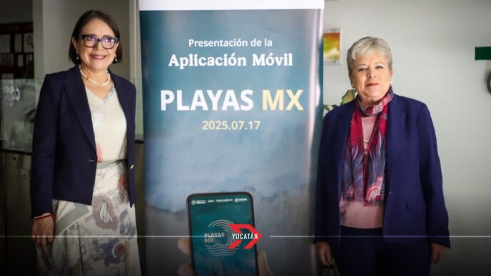 Playas MX: Semarnat y Cofepris lanzan app para monitorear la calidad del agua en tiempo real