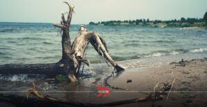 Yucatán enfrenta grave deterioro ecológico por turismo masivo y agricultura intensiva